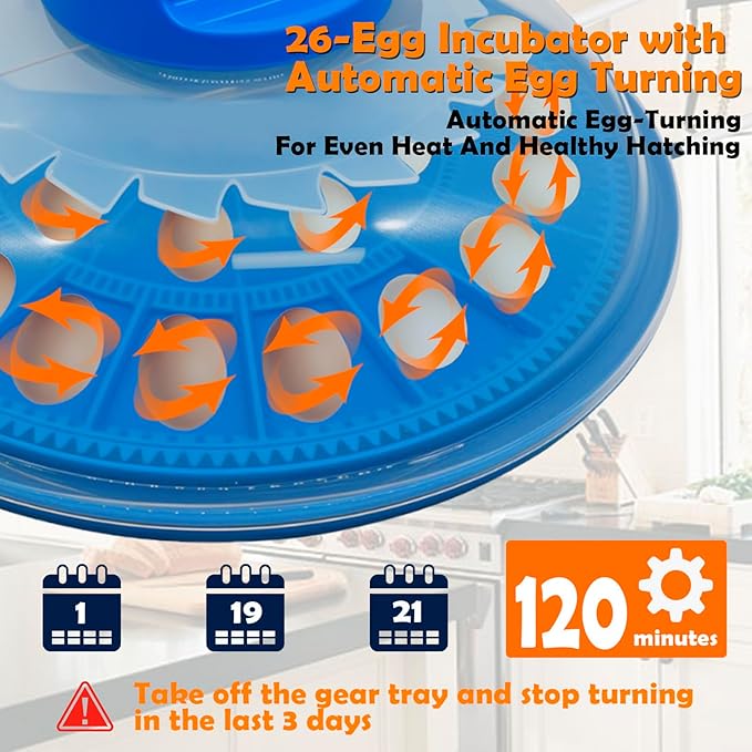 26-Egg Incubator with Automatic Egg Turning and Humidity Control | with 360° - Image 5