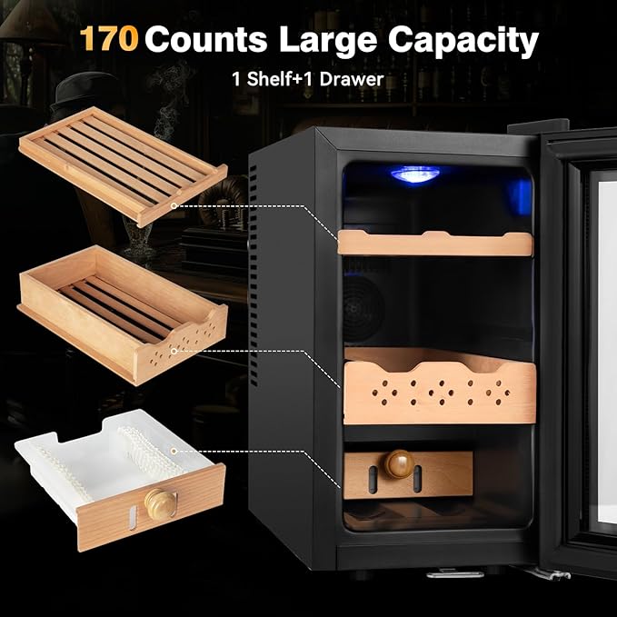 Electric Cooler Cabinet 25L - Image 6