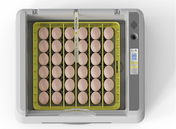 Egg Incubator for Hatching Chicks, 36 Eggs Automatic Turner - Image 8