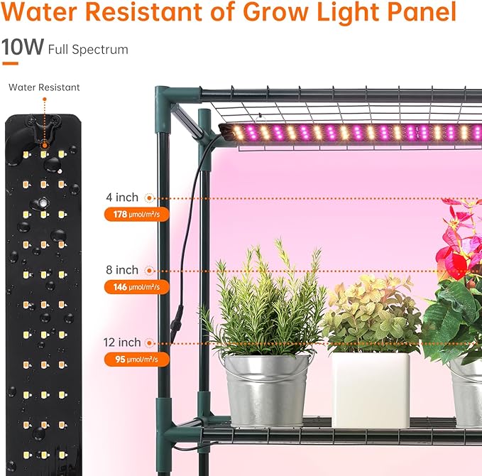 Bstrip Walk In Greenhouse, Indoor Greenhouse - Image 6