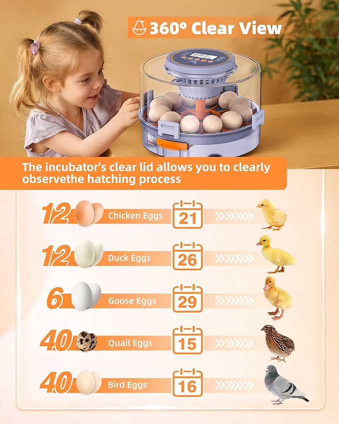 Incubators for Hatching Eggs, 12 Chicken Incubator - Image 3