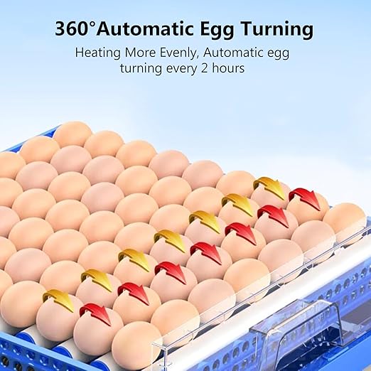 Automatic Eggs Incubator, Large Incubators - Image 3