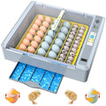 36 Eggs Incubator for Hatching Chicken/Goose/Quail/Duck/Turkey Eggs, 360° View by Unknown