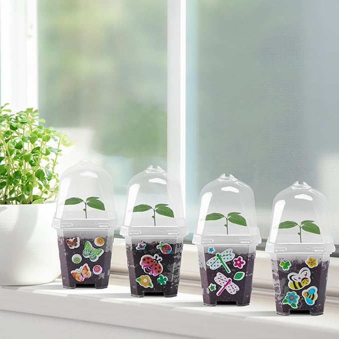 EBaokuup 10 Pack Clear Plant Nursery Pots - Image 6