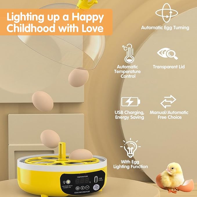 4 Eggs Mini Incubator with Transparent Lid, 7W Automatic Temperature Humidity - Image 3