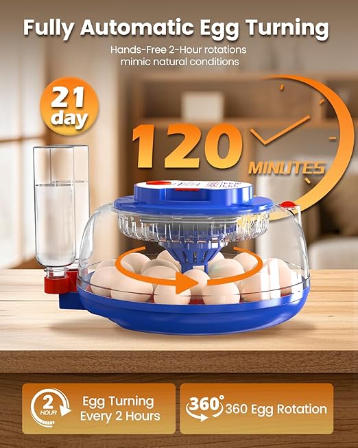 Incubators for Hatching Eggs, 18 Eggs Incubators - Image 2
