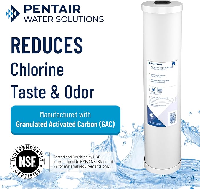 Pentair Pentek RFC-BB Big Blue Radial Flow Carbon Water Filter, Whole House - Image 3