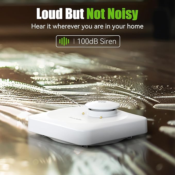 RAINPOINT Floating Remote WiFi Water Leak Detector - Image 5