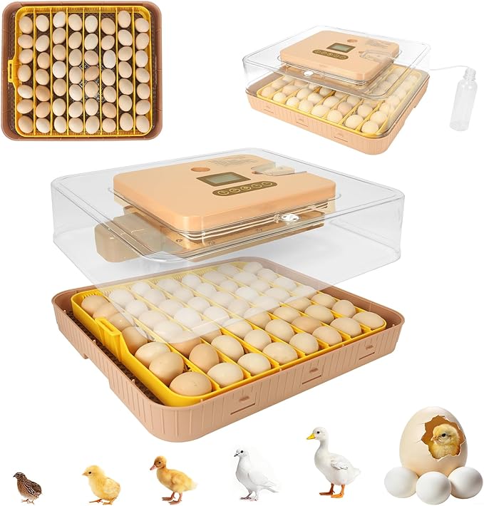 Master 56 Egg Incubator for Breeders, Fully Automated, Accurate Humidity & Temp by Unknown