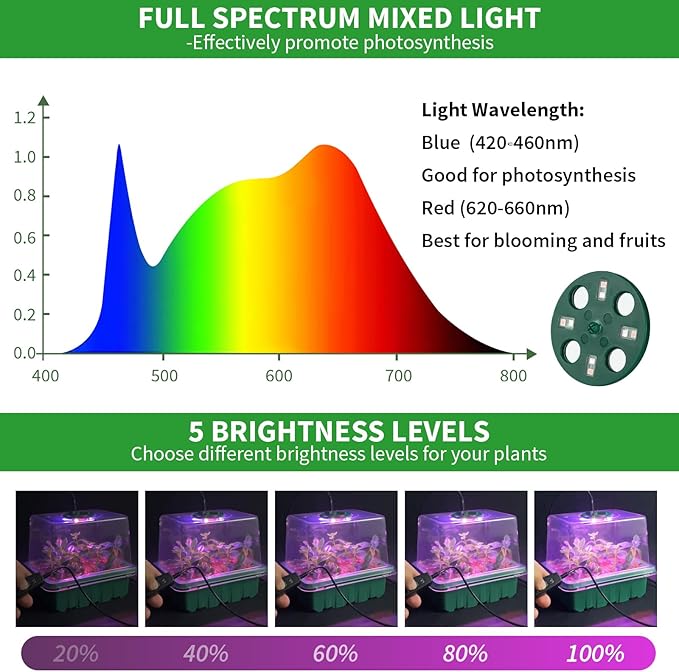 Seed Starter Tray with Plant Light, 4 Pack Grow Lights - Image 3