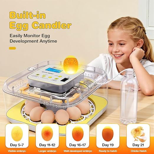 Sailnovo 12 Egg Incubators for Hatching Egg - Image 5