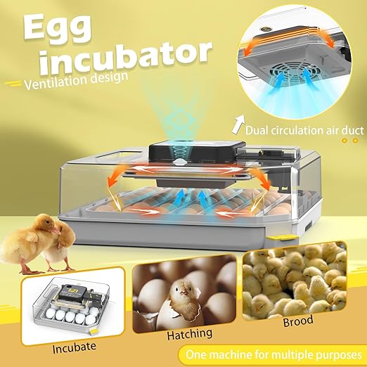 Incubators for Hatching Eggs 48 Egg Incubator - Image 2
