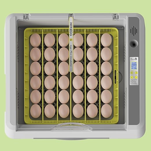 36 Eggs Incubator for Hatching Chicken/Goose/Quail/Duck/Turkey Eggs, 360° View - Image 8