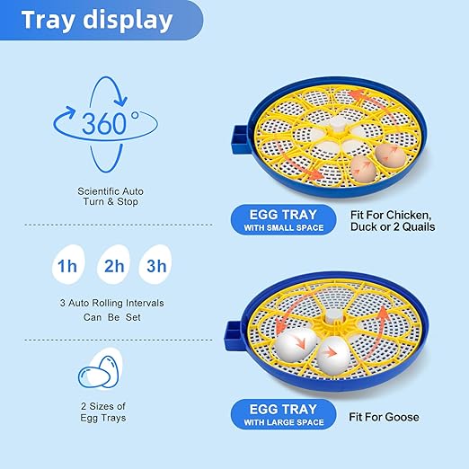 18 Egg Incubator for Hatching Chicken, Quail Eggs – 360° Visible Lid, Automatic - Image 4