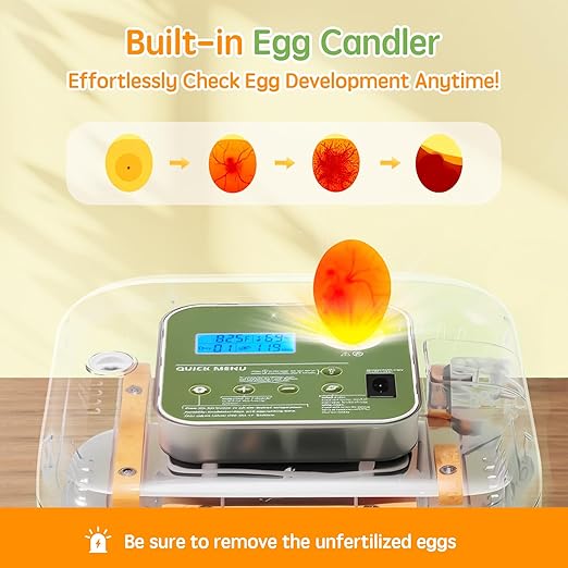Incubator for Hatching Eggs Automatic Humidity and Temperature Control 12 Eggs - Image 6