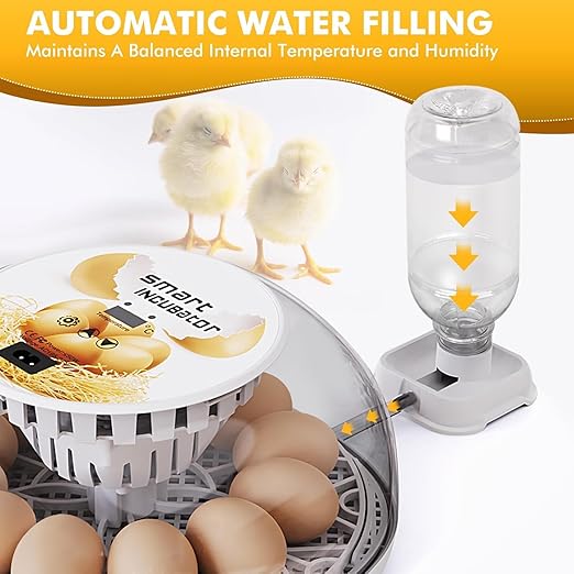 Egg incubators for Hatching Eggs, Automatic Egg Turning 12-24 Poultry Incubator - Image 4