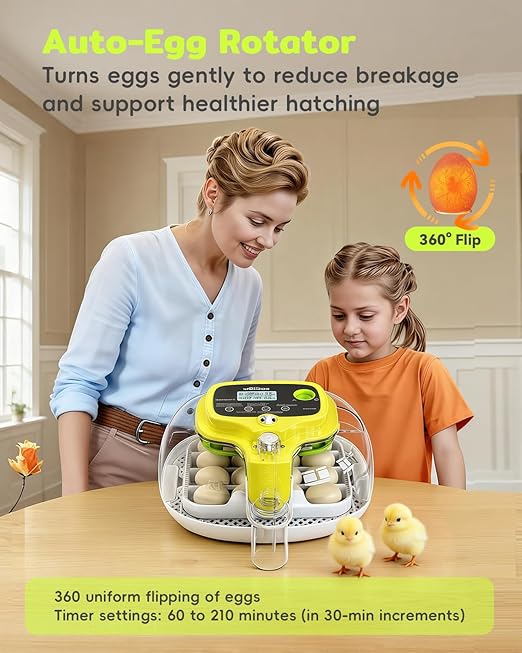 Incubators for Hatching Eggs, 2026 Upgraded 16 Eggs Incubator - Image 4