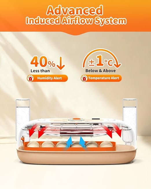 Egg Incubator for 24 Chicken Eggs - Image 3