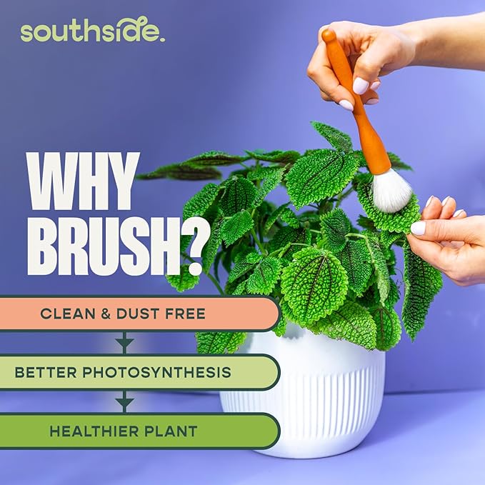 Southside Plant Cactus & Succulent Plants Cleaning Brushes - Image 3