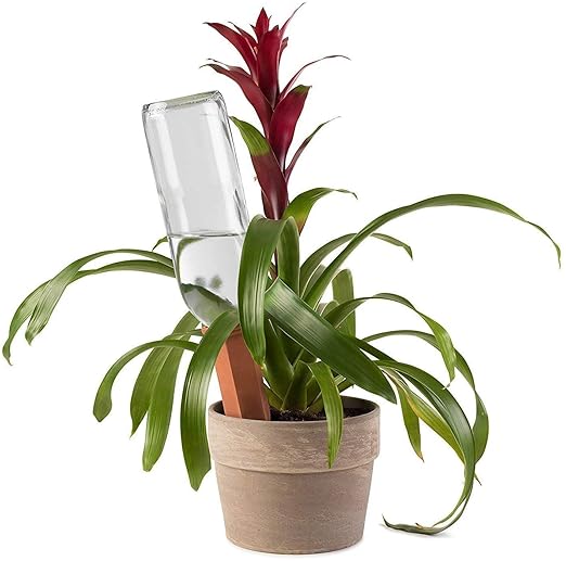 Modern Innovations Ceramic Terracotta Self Watering Spikes Vacation Automatic - Image 2