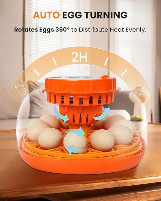 12 Egg Incubator with Automatic Turning & Humidity Control, Fully Automatic - Image 7