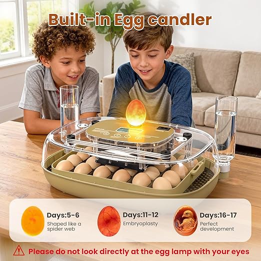 Incubators for Hatching Eggs, 24 Eggs Capacity - Image 6