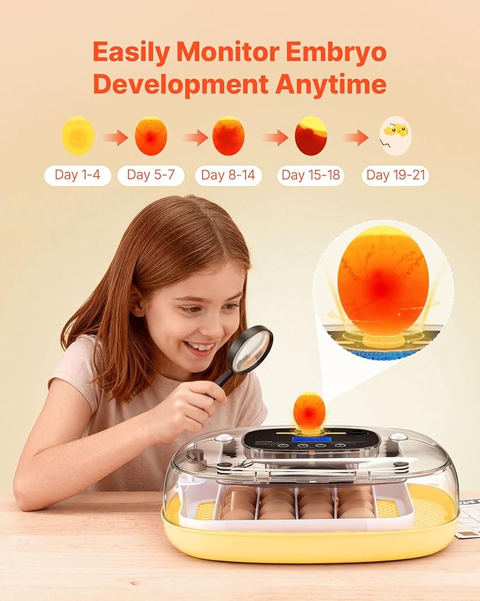 VEVOR 24 Egg Incubator, Automatic Egg Turner - Image 5