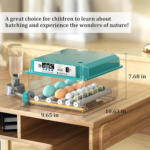 Incubators for Hatching 16 Eggs, Egg Incubator - Image 9