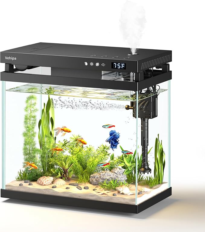 Fish Tank, 2.2 Gallon Glass Aquarium, Small Fish Aquarium Kits - Image 8