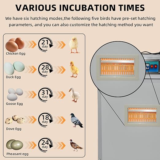 XKV 440 Egg Incubator with Automatic Egg Turning, Temperature Control and - Image 6