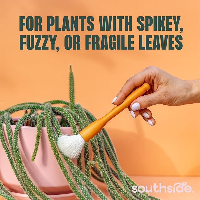 Southside Plant Cactus & Succulent Plants Cleaning Brushes - Image 2