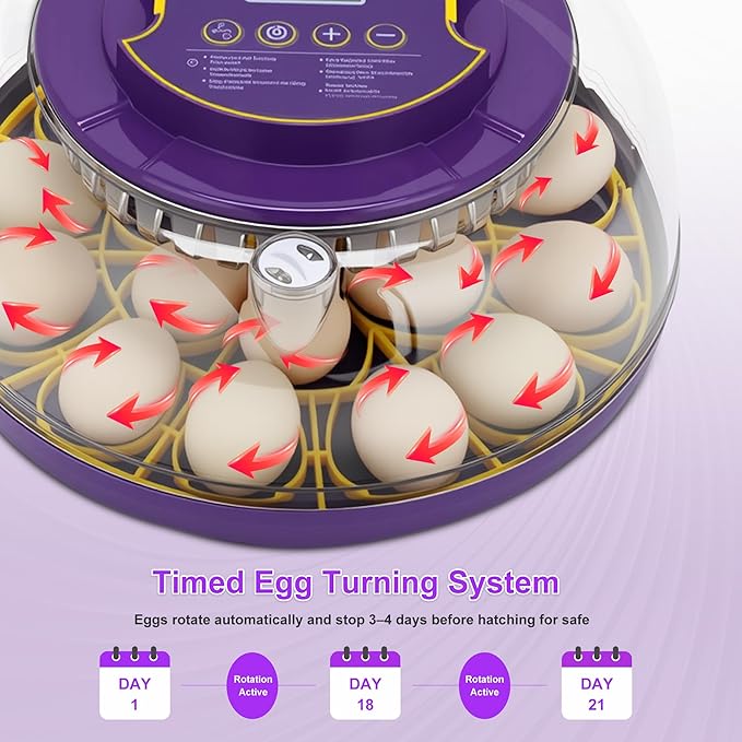 18 Egg Incubator for Hatching Eggs – - Image 3