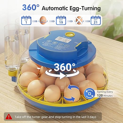 Chicken Egg Incubators for Hatching Eggs, 18 Egg Incubator - Image 4