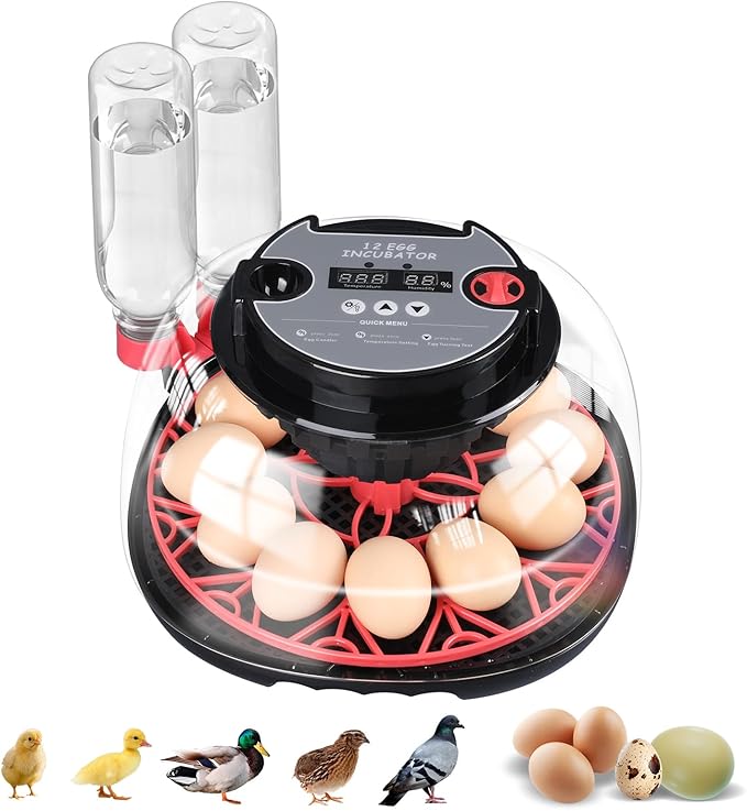 12-Egg Incubator, Automatic Egg Turning Function, Humidity Control, External by Mengduxd