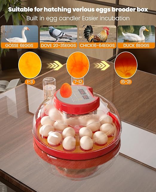 18 Incubators for Hatching Eggs - Image 5