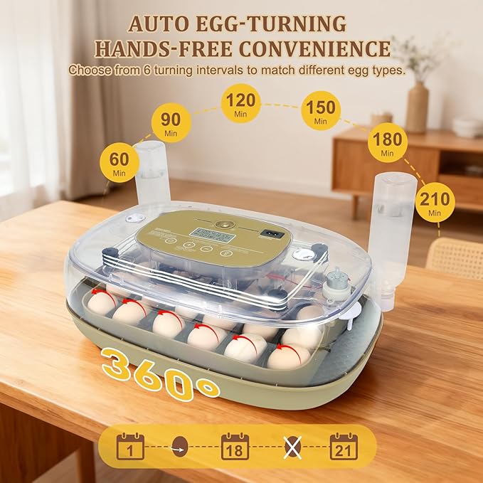 Smart 24-Egg Incubator for Hobbyists, Full-Stage Adaptive Humidity & Temp - Image 3