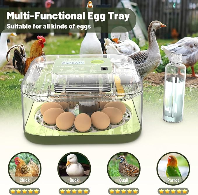 12 Egg Incubator with Automatic Egg Turning and Humidity Control, LED Egg - Image 6