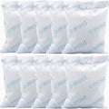 10Pcs 100 Gram Silica Gel Packets, Dessicant Packs by Wisesorb