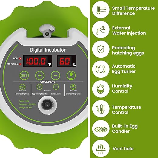 18-Egg Incubator incubators for Hatching Eggs - Image 2