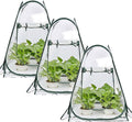 Porayhut Pop Up Greenhouse Cover, Flower House Mini Gardening Plant Flower by porayhut