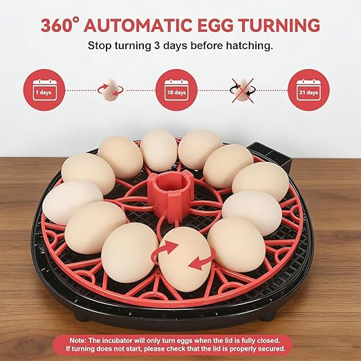 2nd Gen - 12 Egg Automatic Incubator, Two-Stage Humidity - Image 3
