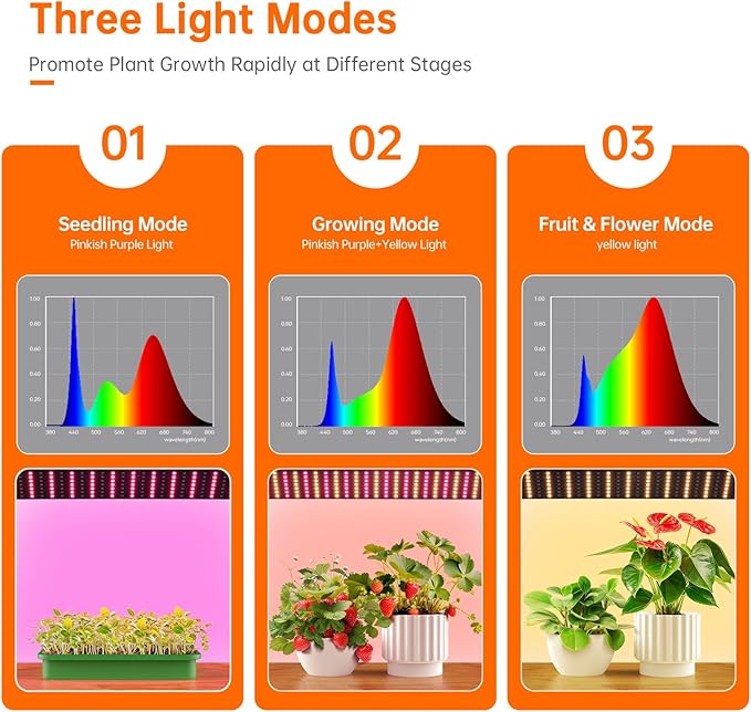 Bstrip Mini Indoor Greenhouse - Image 4