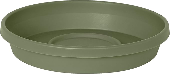 Bloem Terra Plant Saucer Tray for Planters 9-12" Living Green by Bloem