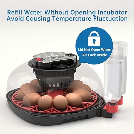 12-24 Egg Incubator with Humidity Display, Egg Candler, Automatic Egg Turner - Image 6