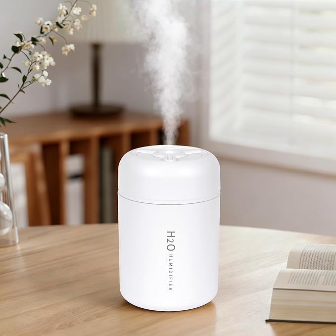 Portable Mini Humidifier, 300ml USB Cool Mist Small Humidifier by Riecin