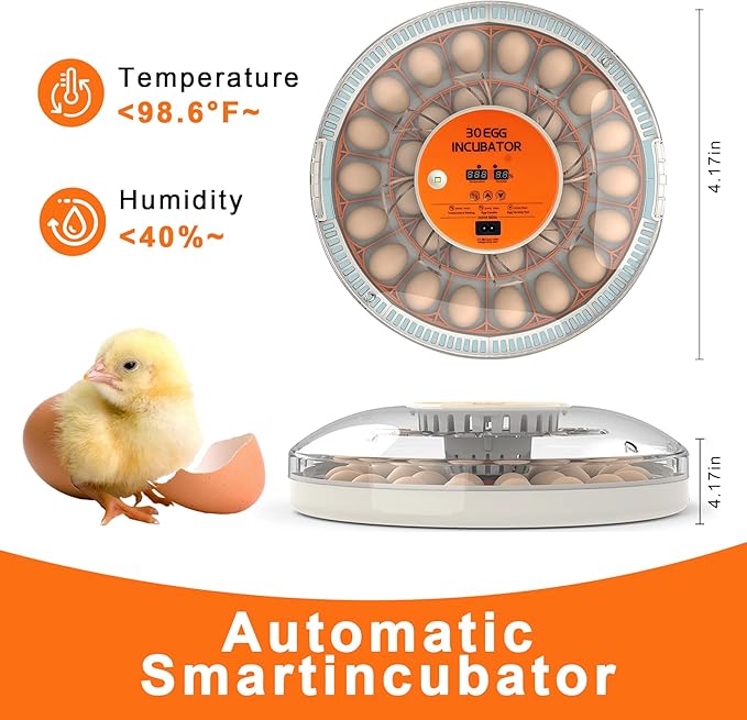 30 Egg Incubator with Automatic Egg Turning and Humidity Control, 360 Degree - Image 2