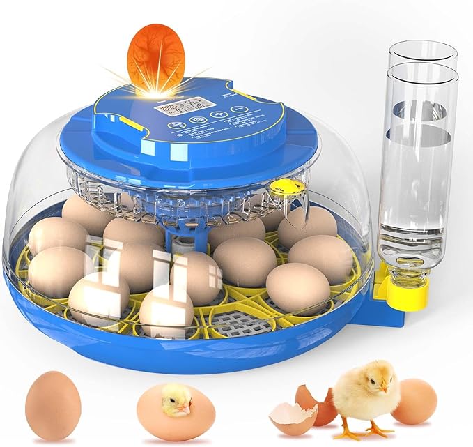 Incubator for Hatching Eggs-18 Egg Incubator by Unknown