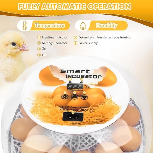 Egg incubators for Hatching Eggs, Automatic Egg Turning 12-24 Poultry Incubator - Image 5