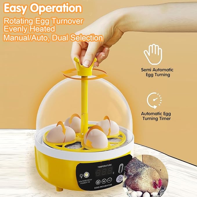 4 Eggs Mini Incubator with Transparent Lid, 7W Automatic Temperature Humidity - Image 7