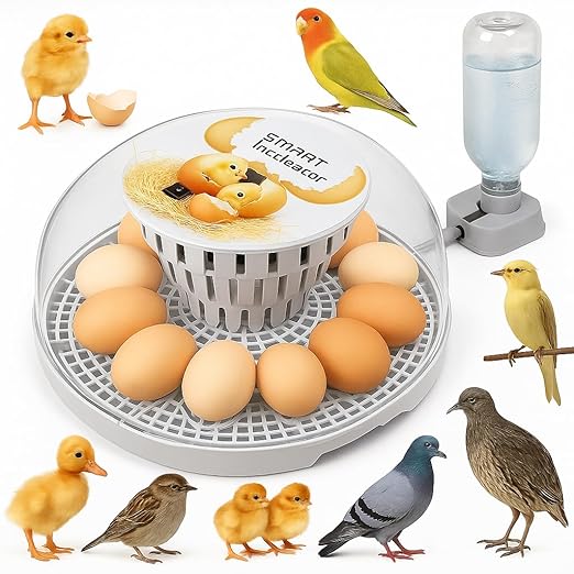Egg incubators for Hatching Eggs, Automatic Egg Turning 12-24 Poultry Incubator by Unknown